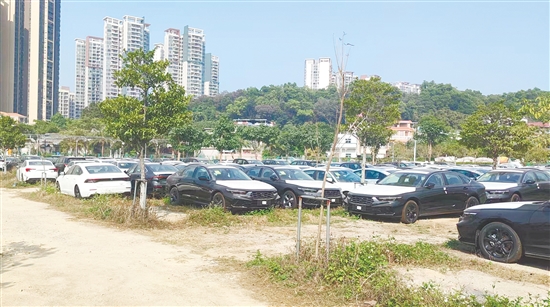 燃油車(che)現(xian)車(che)貨源充裕。 燃油車(che)現(xian)車(che)貨源充裕。